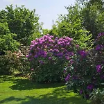 Cozy Just 300 M From Hove Holiday home