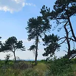 Cozy Just 300 M From Hove Holiday home