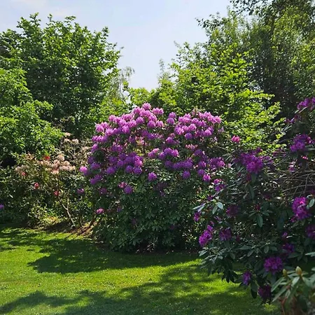 Cozy Just 300 M From Hove 度假居 Asnæs