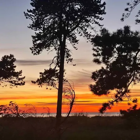 度假居 Cozy Just 300 M From Hove Asnæs