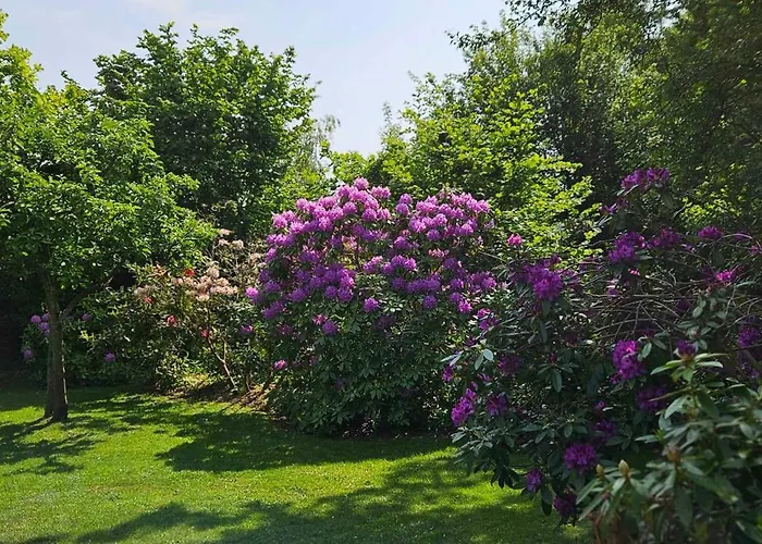 Cozy Just 300 M From Hove Σπίτι διακοπών