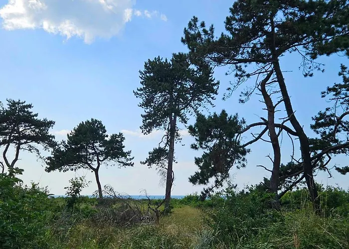Cozy Just 300 M From Hove Σπίτι διακοπών